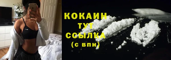 твердый Верея