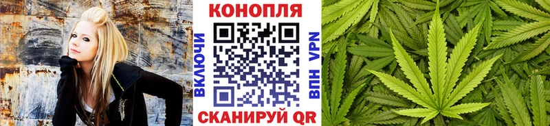 Шишки марихуана White Widow Златоуст